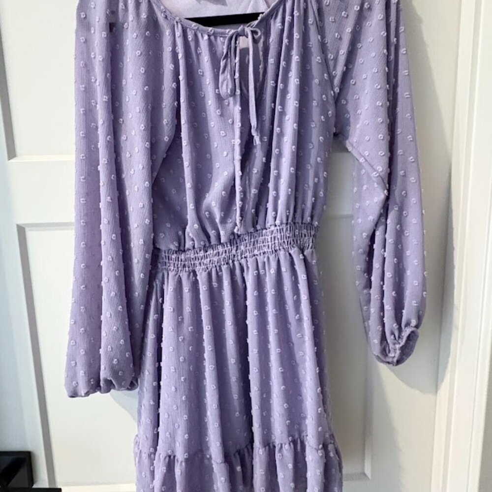Altered State Purple Dress- Size Small